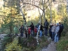 gruppe